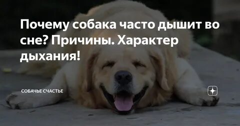 Ребенку 5 лет часто дышит