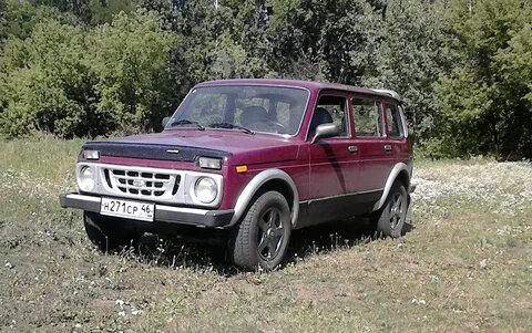 Лев нив