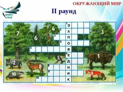 Приокско террасный заповедник кроссворд 3