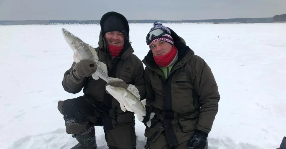 Рыбаки Новосибирск. Рыбалка в Новосибирской области вести с водоемов Виджет. Ловля судака на Псковском озере зимой. Вести с водоёмов сайт новосибирских рыбаков.