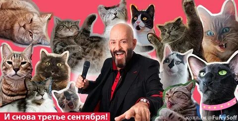 Коты 3 сентября
