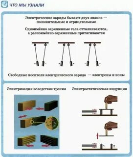 Что придает положительный заряд белкам