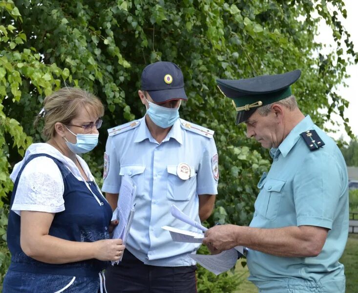 Административные правонарушения судебных приставов. Начальник полиции Борского района Самарской области. Полиция Борского района Самарской области. Борский МВД сотрудники. Облава в Самарской области.