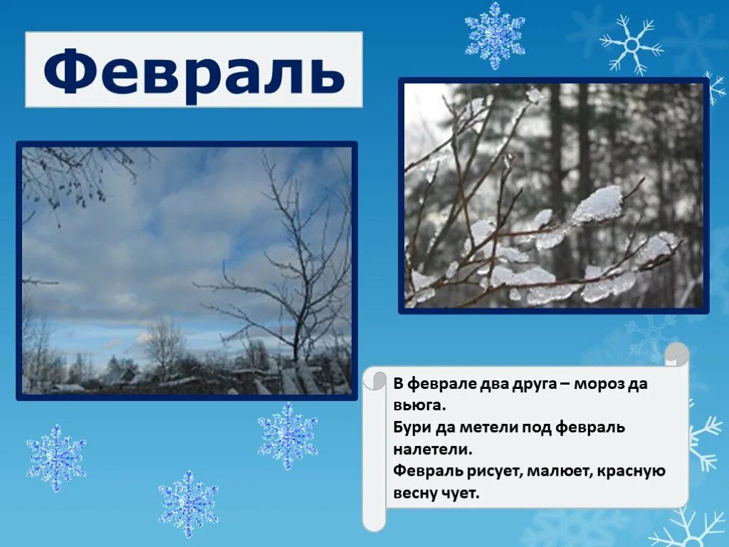 В гости к зиме окружающий мир 2