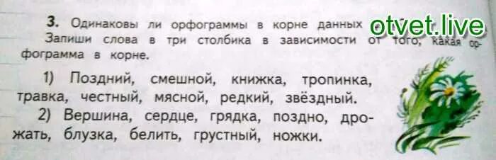 Орфограмма в слове поздний. Какая орфограмма в слове. Поздней орфограмма в корне слова. Запишите слова в зависимости от орфограммы. Корень слова переписал