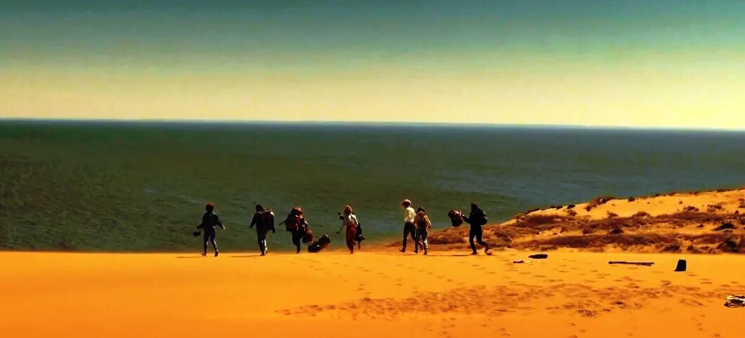 где снимали глаз тигра. жёлтый глаз тигра сериал василек. сериал про янтарь желтый глаз тигра. где снимали глаз тигра. павел прилучный желтый глаз тигра.