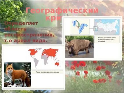 Географический критерий кратко