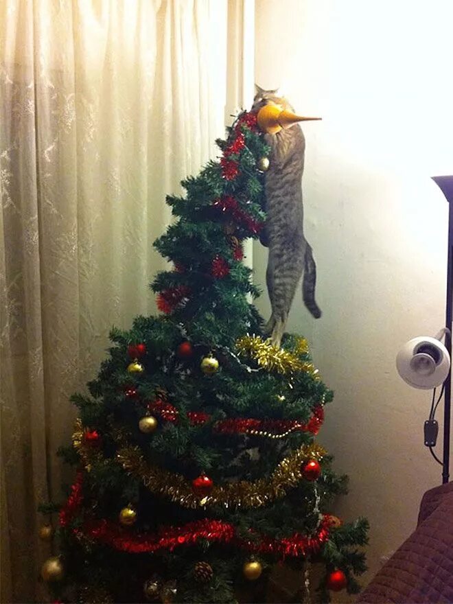 Смешную елочку