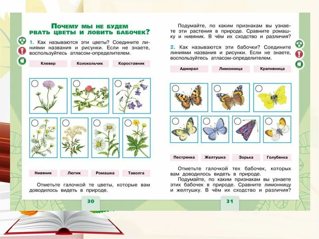 Темы по окружающему миру 1 класс плешаков. Задачи по окружающему миру. Окружающему миру задания. Занятия по окружающему миру 1 класс. Заданияя по окружающему мит.