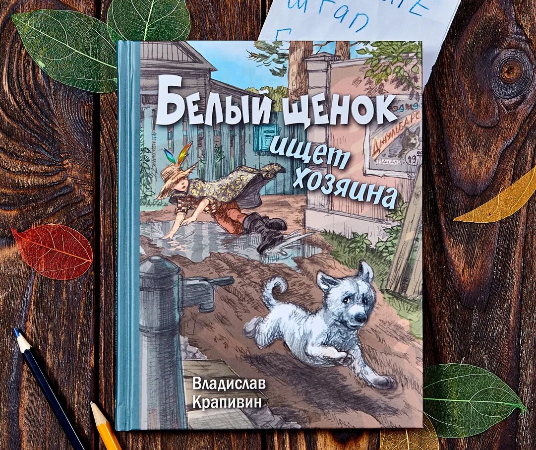В крапивина белый щенок ищет хозяина. Белый щенок ищет хозяина крапивин. Книга белый щенок ищет хозяина. Белый щенок ищет хозяина крапивин читать. Белый щенок ищет хозяина крапивин.