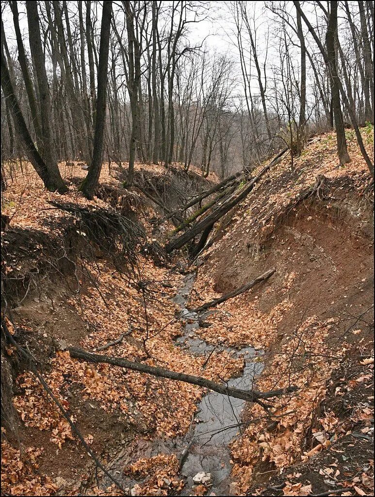 Варваринский овраг. Икшинский овраг. Касьяновский овраг. Заповедник мозырские овраги. Курская область овражно балочный рельеф.