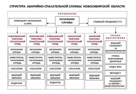 Создание спасательной службы организации