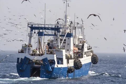 Морские траулеры