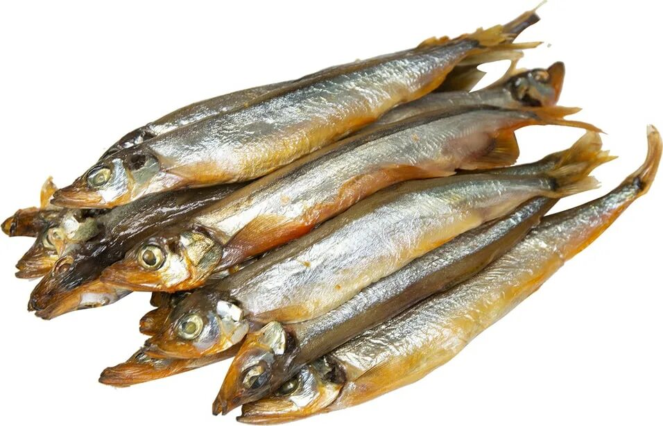 Свежемороженая рыба мойва. Мойва копченая фиш хаус. Вкусное море продукция. Мойва отзывы. Мойва отзывы.