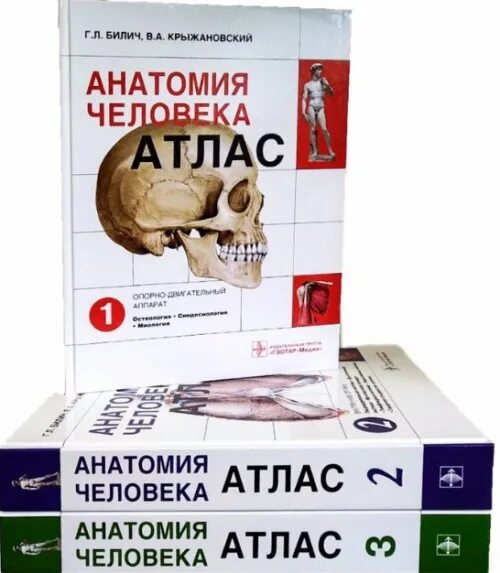 Атлас билич крыжановский. Билич атлас анатомия том 1. Атлас анатомии крыжановский. Атлас анатомии крыжановский. Атлас анатомии билич крыжановский.