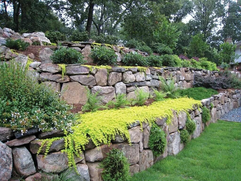 Planted area. Подпорная стенка сады Боболи. Голицынская подпорная стенка. Ландшафт Голландия подпорная стенка. Подпорная стенка «Landscape».