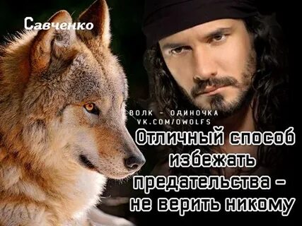 Не верьте волку