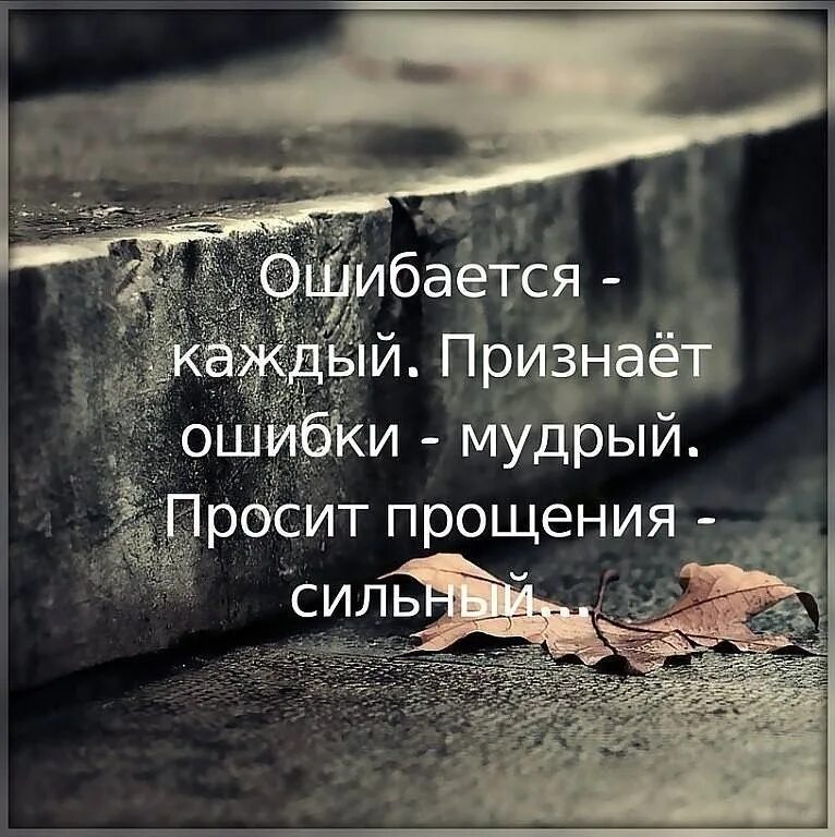 Смысл извиняться