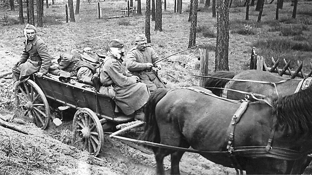 В военные годы переехали в. Гужевой транспорт РККА В ВОВ 1941-1945 гг. Обозы РККА В 1941 году. Полевая кухня РККА 1941. Ездовой РККА.