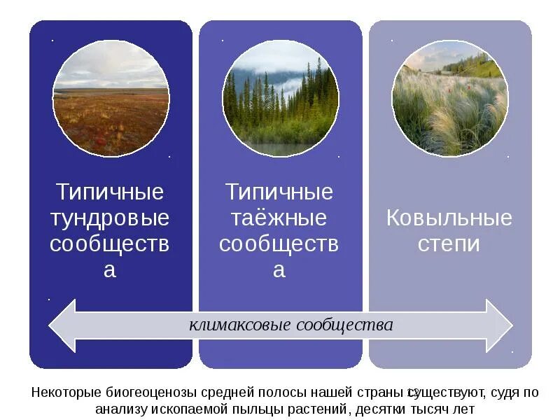 Выберите пример смены экосистемы. Климаксовые экосистемы. Климаксные сообщества. Суточная динамика экосистем. Динамика экосистем экология.