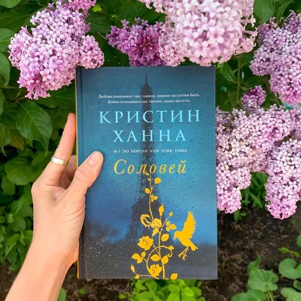 Кристин ханна книги отзывы. Кристин Ханна "Соловей". Соловей Кристин Ханна книга. Ханна к. Соловей. -. Кристин Ханна Соловей иллюстрации.