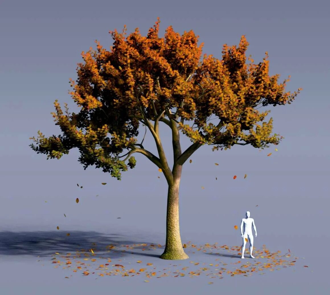Дерево в блендер. Blender 3d tree. деревья в blender 3d. дерево в блендер 3д. деревья model.