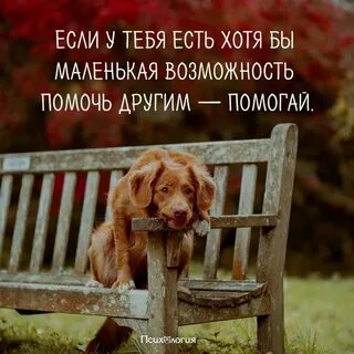 Есть возможность помочь вам