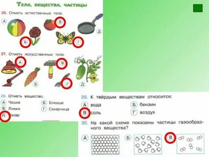 Урок тела 3 класс
