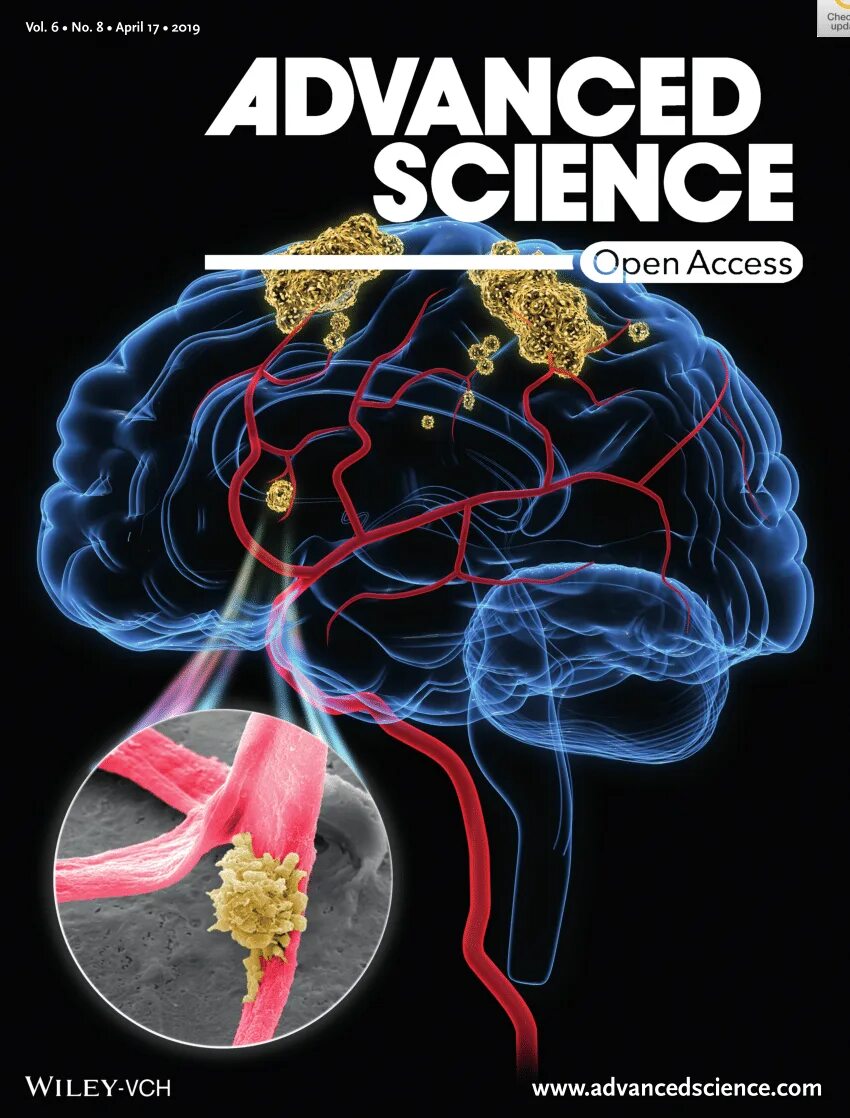 Science journal. Journal science advances. Journal science advances. Journal of materials science. Science advances.