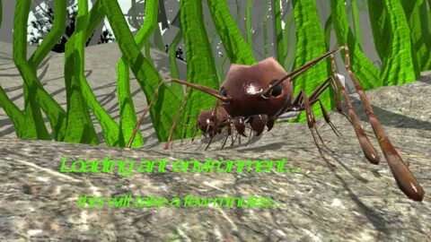 Ant simulator