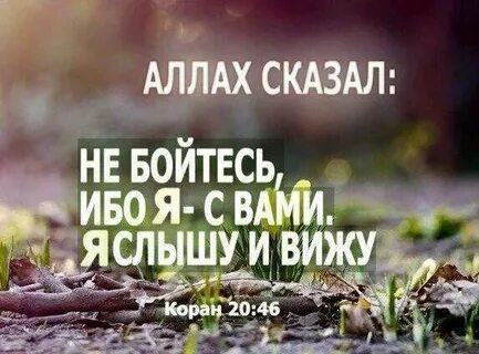 Не бойтесь вам помогут