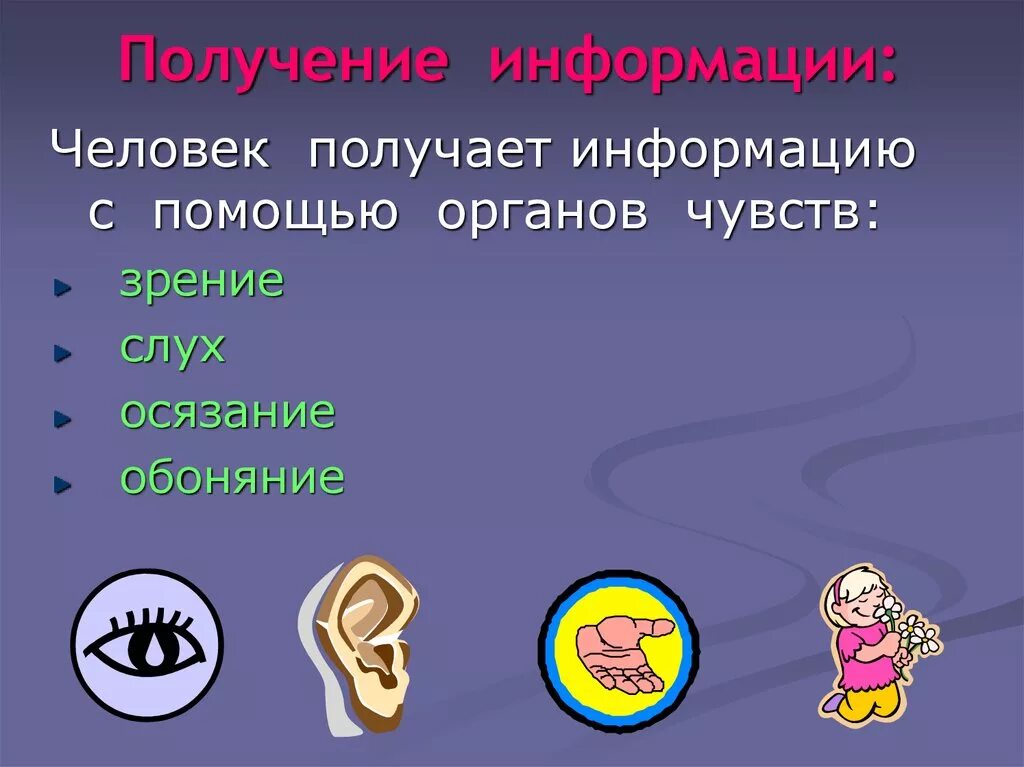 Человек получающий информацию называют. Получение информации. информация с помощью органов чувств. человек получает информацию с помощью органов. получение информации с помощью органов чувств.