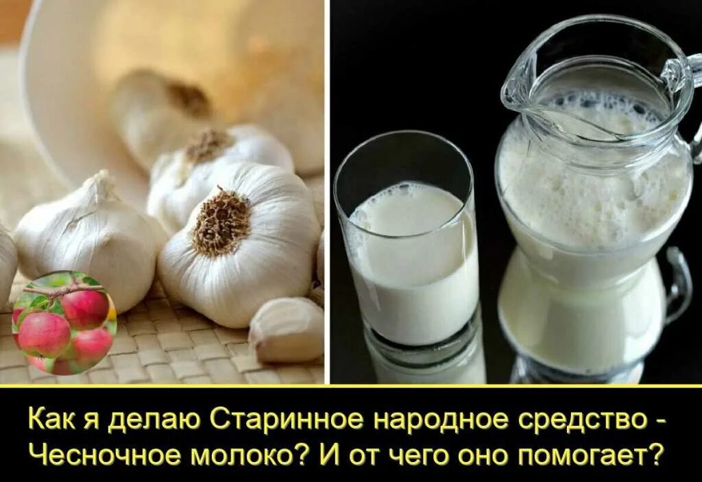 Рецепт молоко с чесноком для чего пьют