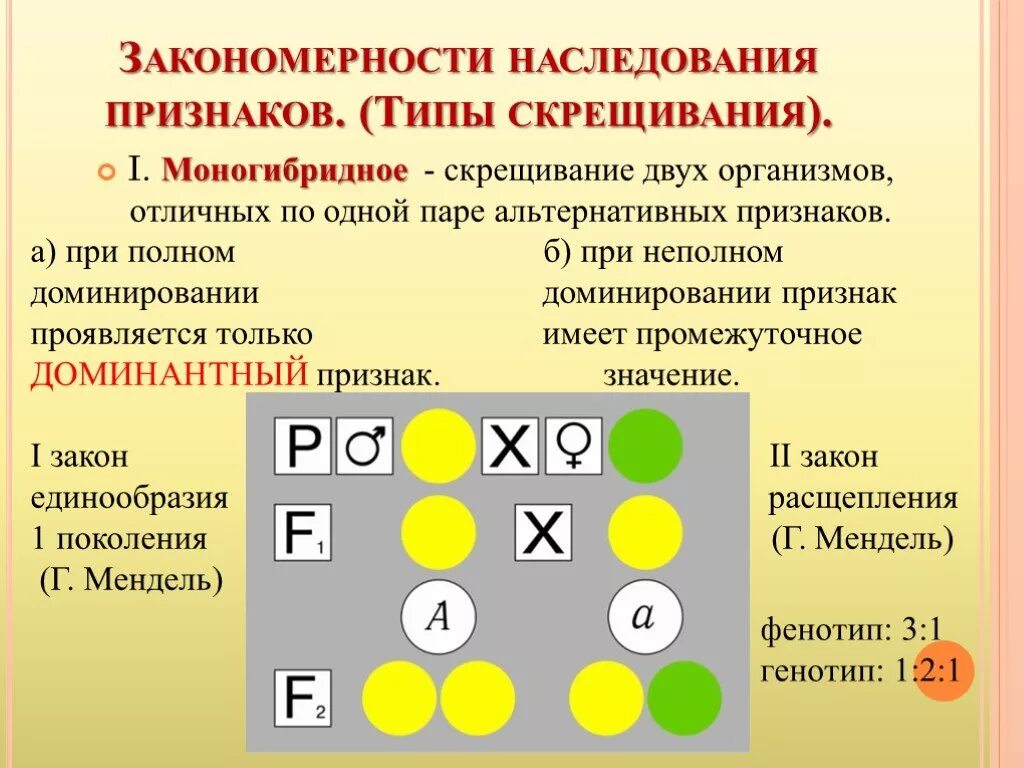 Основные наследования признаков. Закономерности наследования признаков моногибридное скрещивание. Закономерности наследования признаков типы СКРЕЩИВАНИЙ. Закономерности наследования признаков. Законы г. Менделя.. Закономерности наследования при моногибридном.