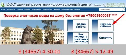 Когалым молодежная 10 график работы