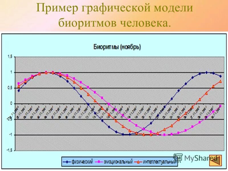 Совместимость биоритмов по дате рождения