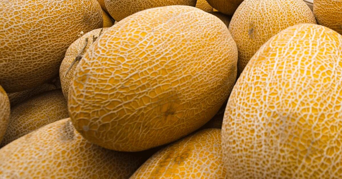Колхозница оранжевая внутри