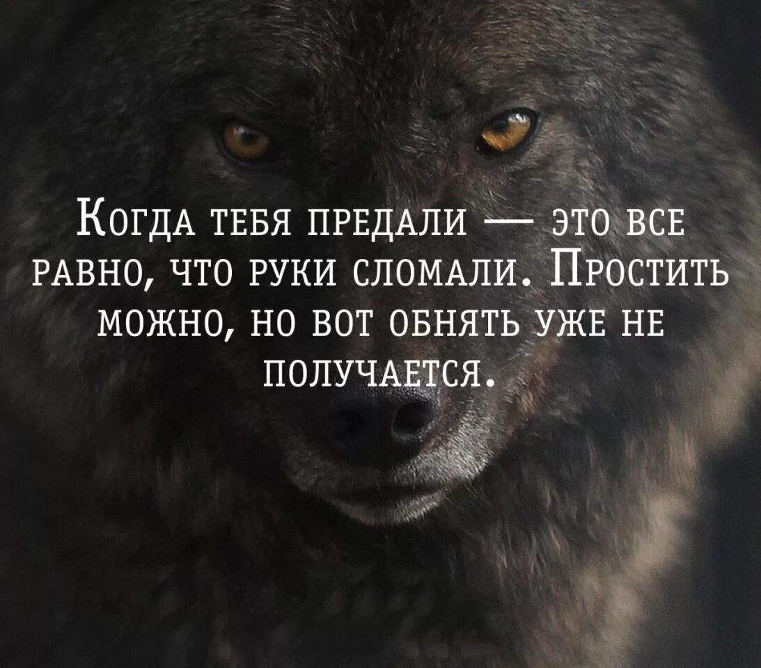 Бывший говорит что все простил. Цитаты о предательстве любимого человека. Если тебя предали цитаты. Цитаты когда тебя передали. Предательство цитаты картинки.