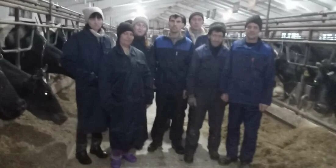 Работник фермы. Ищу работу на ферме. Вакансии скотником с проживанием. Монастырь хозяйство. Скотники крс.