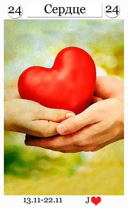 ленорман 24 сердце. 24 сердце оракул ленорман. карта таро сердце ленорман. сердце оракул ленорман. таро ленорман клевер.