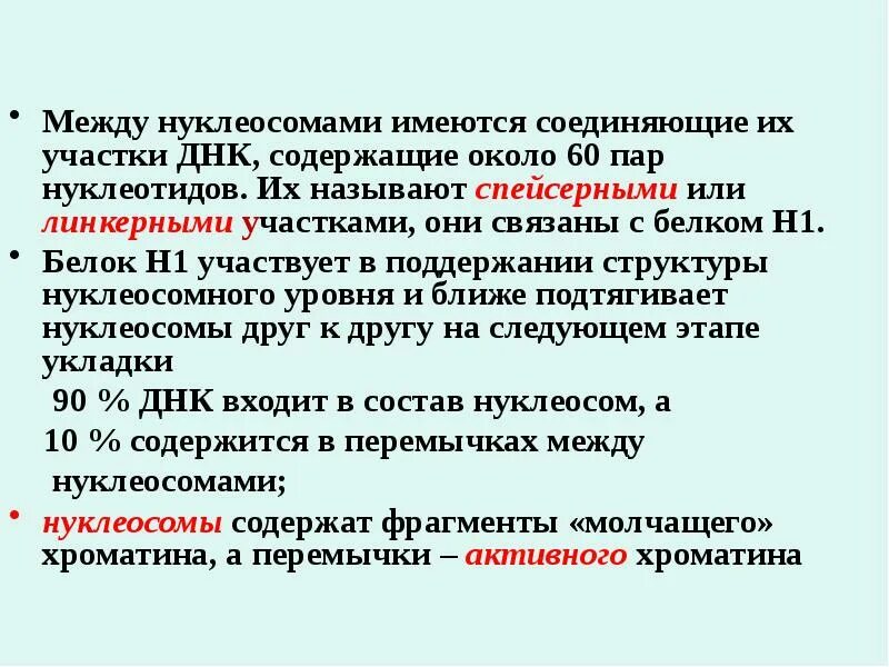 Участок днк содержащий информацию. Динекерный участок днк. нуклеосомы и линкерный участок. линкерная днк это участок. линкерные участки.