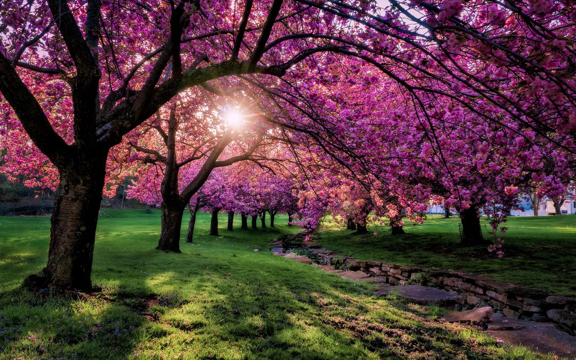 Spring scenes