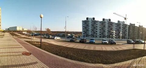 Улитка дубовое