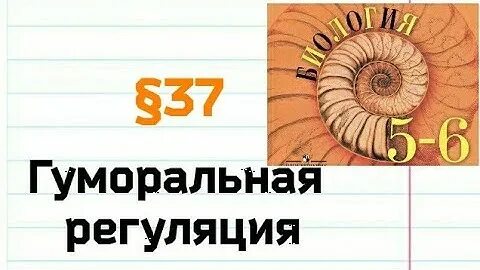 Пасечник аудио