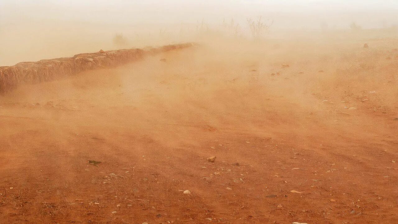 Песчаная буря в пустыне. Песчаная буря Сэнди. Пустыня Гоби Песчаная буря. Афганец пыльная буря. Ветер пыль дорог