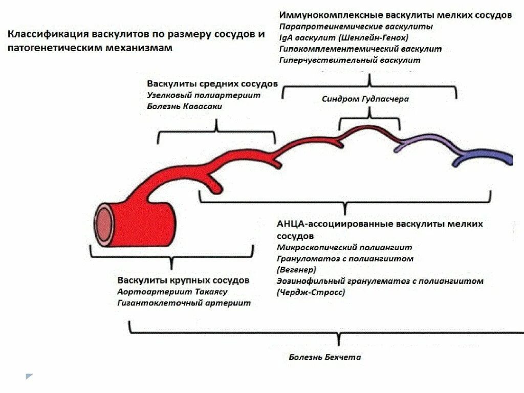 Системные васкулиты патогенез схема. Мелкие сосуды лечение. Воспаление мелких сосудов. Атеросклероз сосудов бца. Мелкие сосуды лечение.