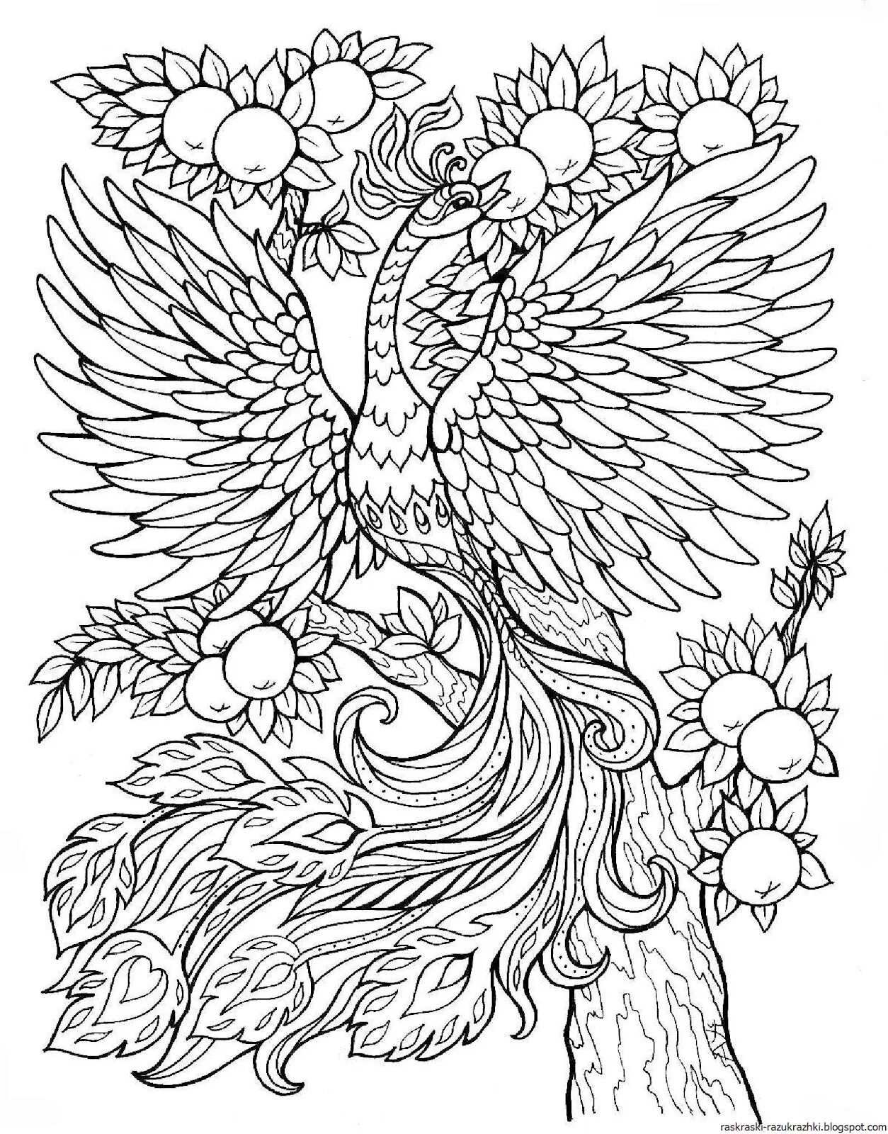 Раскраска. Павлин раскраска для детей. Жар птица раскраска. Сказочная птица раскраска для детей. Раскраска.