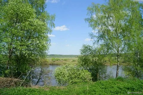 Гисметео калужская область жуковский