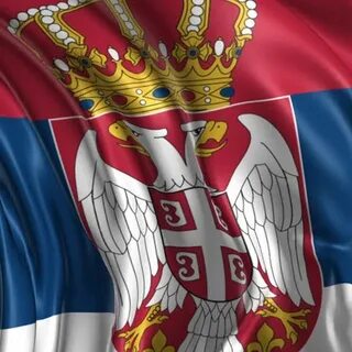 Флаг воеводины