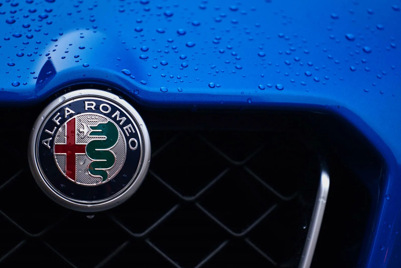 Знак альфа ромео. Alfa Romeo. Alfa Romeo логотип. Альфа Ромео значок. Alfa Romeo Quadrifoglio logo.